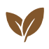 enzimas vegetales